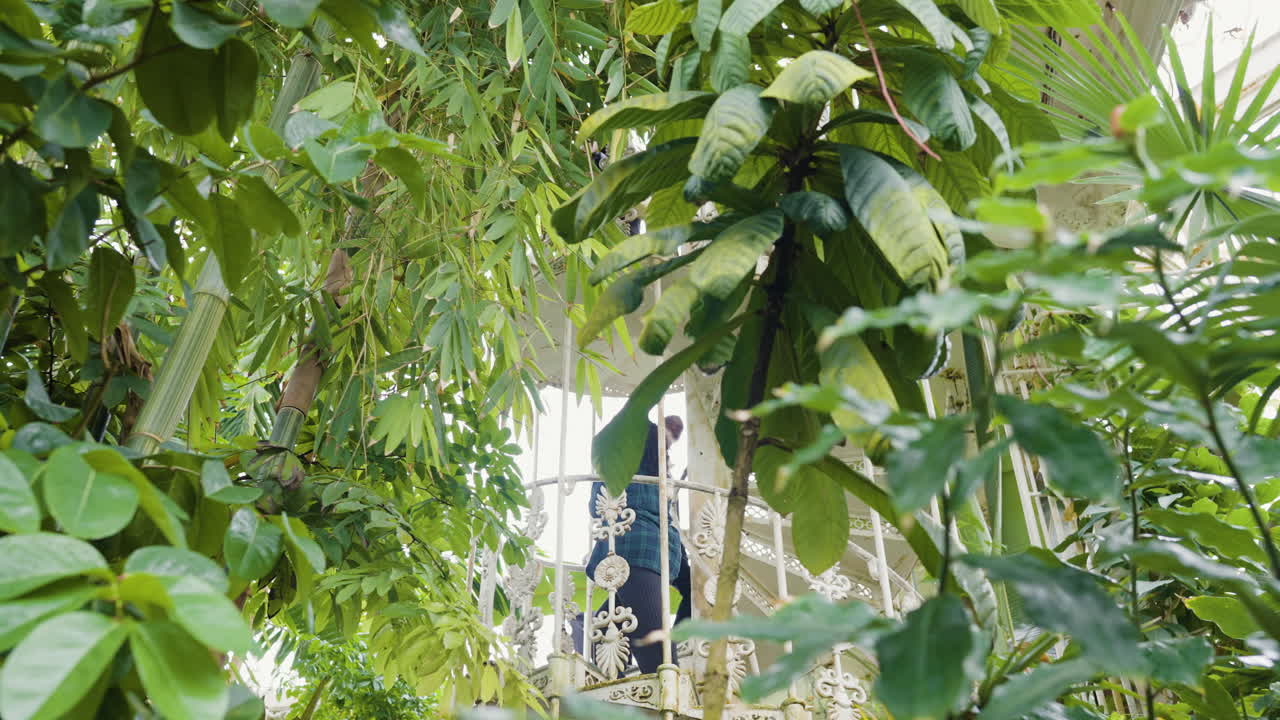 Spiral Staircase in a Lush Greenhouse