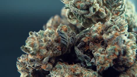 A-macro-close-up-cinematic-detailed-shot-of-a-cannabis-plant,-marijuana-flower,-hybrid-strains,-Indica-and-sativa,-on-a-360-rotating-stand-in-a-shiny-bowl,-120-fps-slow-motion-Full-HD,-studio-lighting