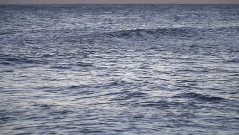 waves build up in slow motion at sunset