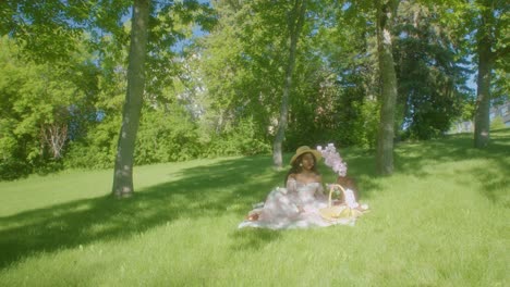 black woman watching waiving in park picnic blanket