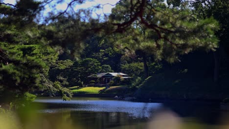 The-beautiful-view-in-Rikugien-Gardens