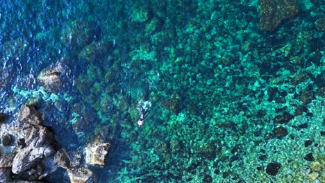 male tourist swimming in the transparent waters of a bay in ibiza, spain. stunning aerial view flight vertical bird's eye view drone