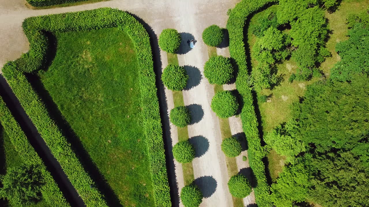 воздушный вид на свадебную пару, проходящую через официальный сад