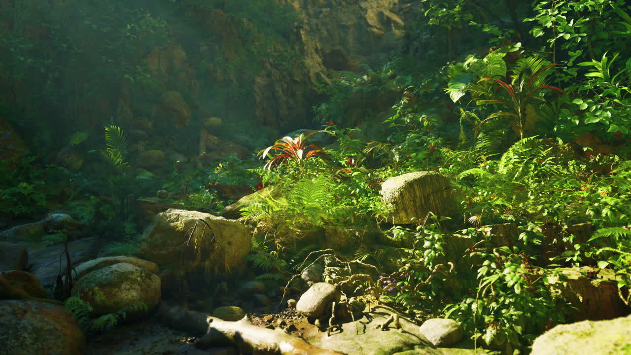 빛이 흐르는 울창한 정글 풍경