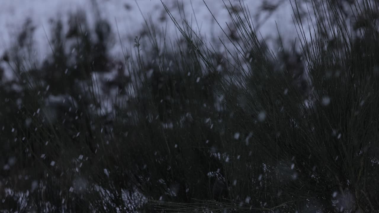 Sne der daler i slowmotion