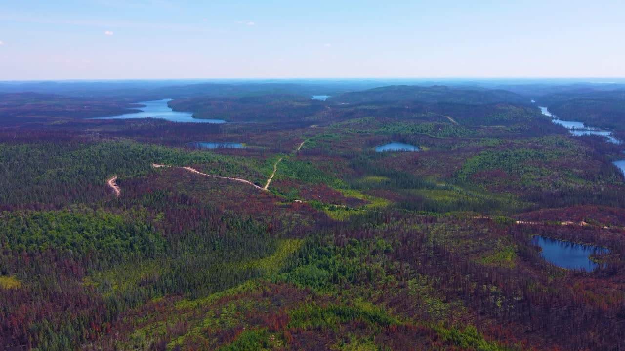 vista desde un helicóptero de miles de hectáreas de tierra forestal quemada después de un mal año de incendios forestales en canadá