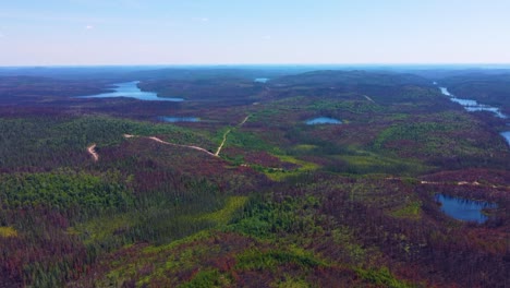 helicopter view of thousands of acres of scorched forest land following a bad wildfire year in canada