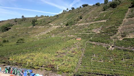 aerial pan across vineyards of ribeira sacra, galicia spain