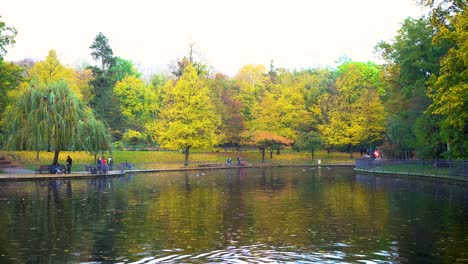 día de otoño en un hermoso parque en berlín con vista al lago y árboles amarillos