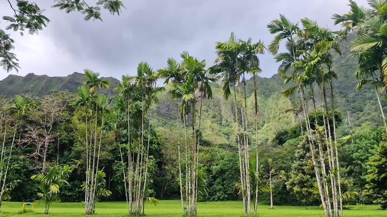 Tropical Rainforest of Oahu Island, Hawaii USA. Hoomaluhia Botanical Garden Landscape