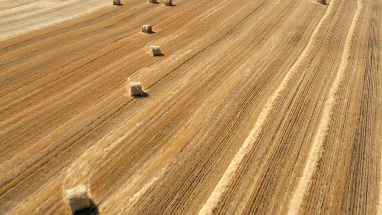 balas redondas en el campo vista aérea