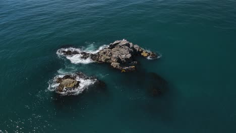 Diese-Aufnahme-Fliegt-Rückwärts-Nach-Oben,-Um-Die-Weite-Des-Ozeans,-Die-Abgeschiedenheit-Der-Insel-Und-Den-Atemberaubenden-Kelpwald-Von-Kaikoura,-Neuseeland,-Zu-Zeigen