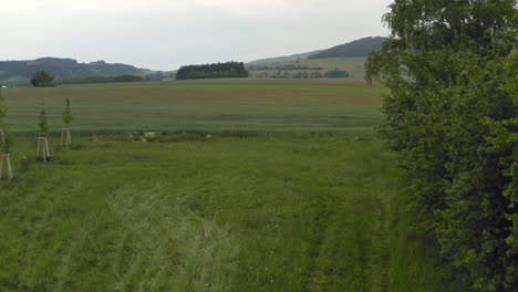 Aerial-4k-shot-of-a-family-hiking-through-a-picturesque-countryside-in-Dolní-Morava,-Czech-Republic-with-forests,-meadows,-hills-and-fields-on-a-cloudy-summer-day