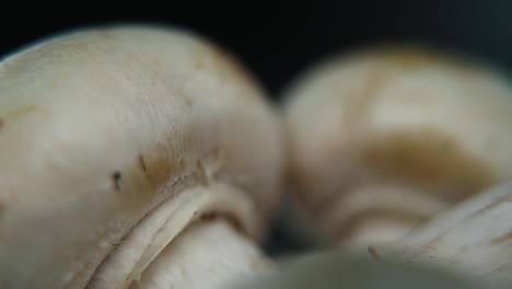 macro video of a pile of mushrooms, raw champignons, white caps, on a rotating stand, smooth movement, slow motion 120 fps, full hd