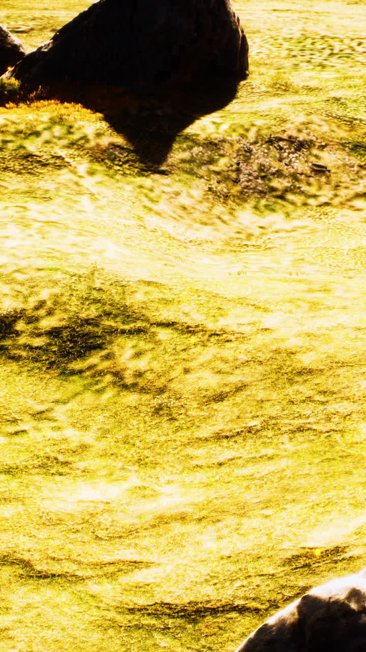 바위 언덕 이 있는 황금빛 들판 풍경