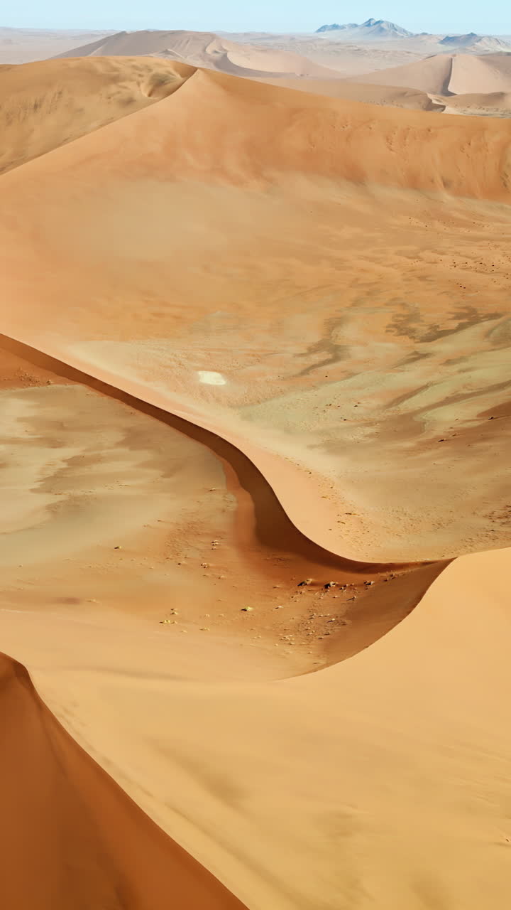 Veduta aerea da drone di dune di sabbia dorata del deserto del Namib con tracce di pneumatici che attraversano le dune e l'Oceano Atlantico visibile in lontananza. Verticale.