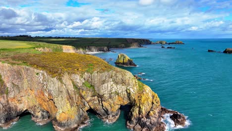 drone flying over headland with sea caves yellow flowers and sea stacks and sea cliffs with coastal erosion emerald green seas and dramatic views waterford coast ireland