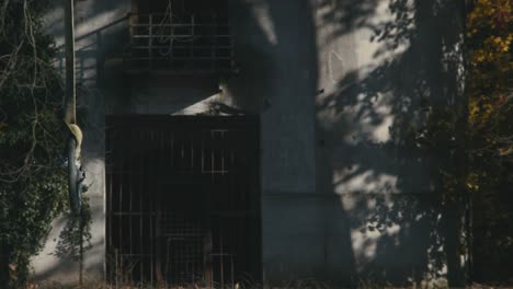 view of gated entrance to stary labsky jez obristvi with autumn tree shadows on wall