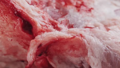 close-up view of raw, bloody meat and bone