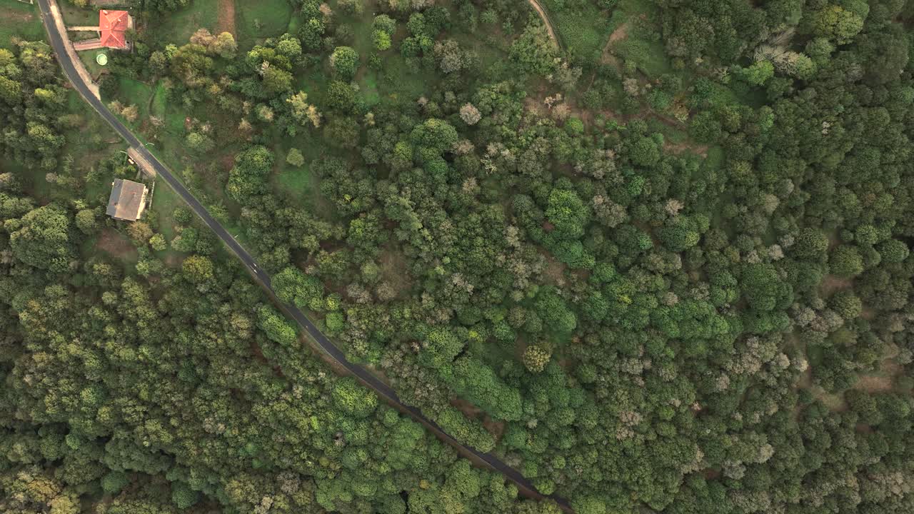 Road And Lush Forest At Espiñeiros Hamlet Within The O Irixo Municipality In The Province Of Ourense, Galicia, Spain. Aerial Topdown Shot
