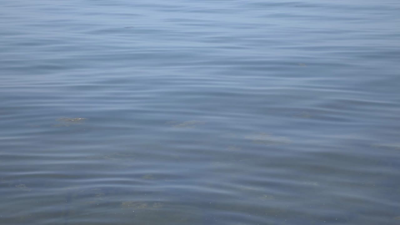 Agua azul ondulante en el lago Ontario, Toronto, Canadá - primer plano.