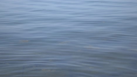 blue rippling water in lake ontario, toronto, canada - close up