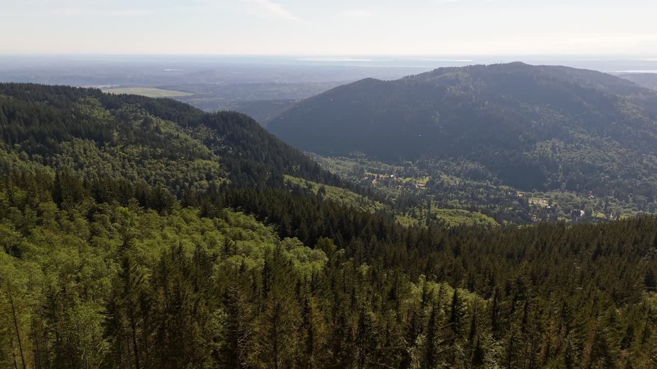 hermosa vista aérea volando sobre el denso bosque de hoja perenne desde la cima de la montaña en issaquah, estado de washington