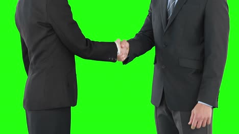 Business-people-handshaking