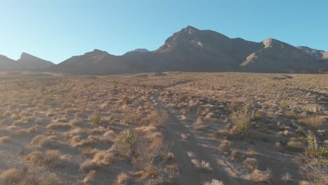 sendero del desierto