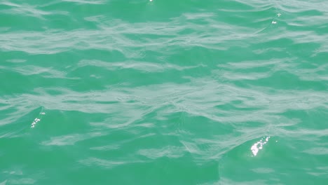 Calm ocean waves ripple under bright sunlight in Phuket, Thailand, creating a serene and tranquil atmosphere