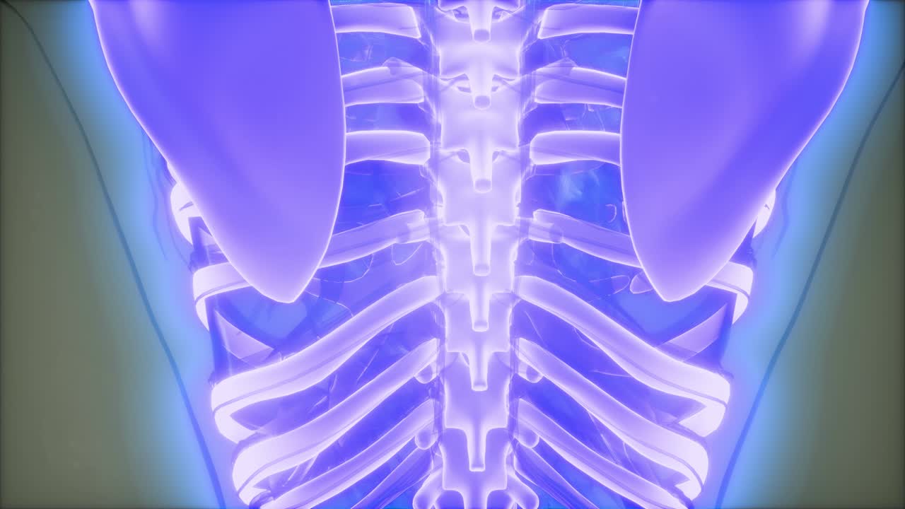 cuerpo humano transparente con huesos visibles