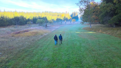 Filmflug-Am-Morgen-In-Einem-Wald