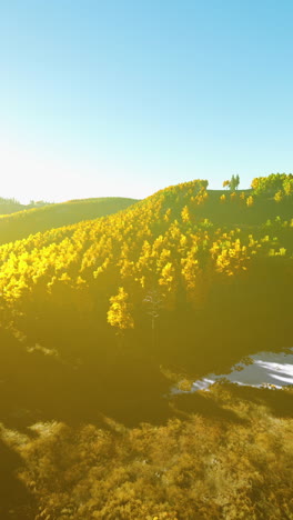 golden forest landscape