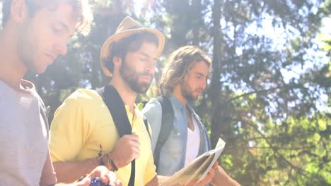 three hiker friends walking in the forest