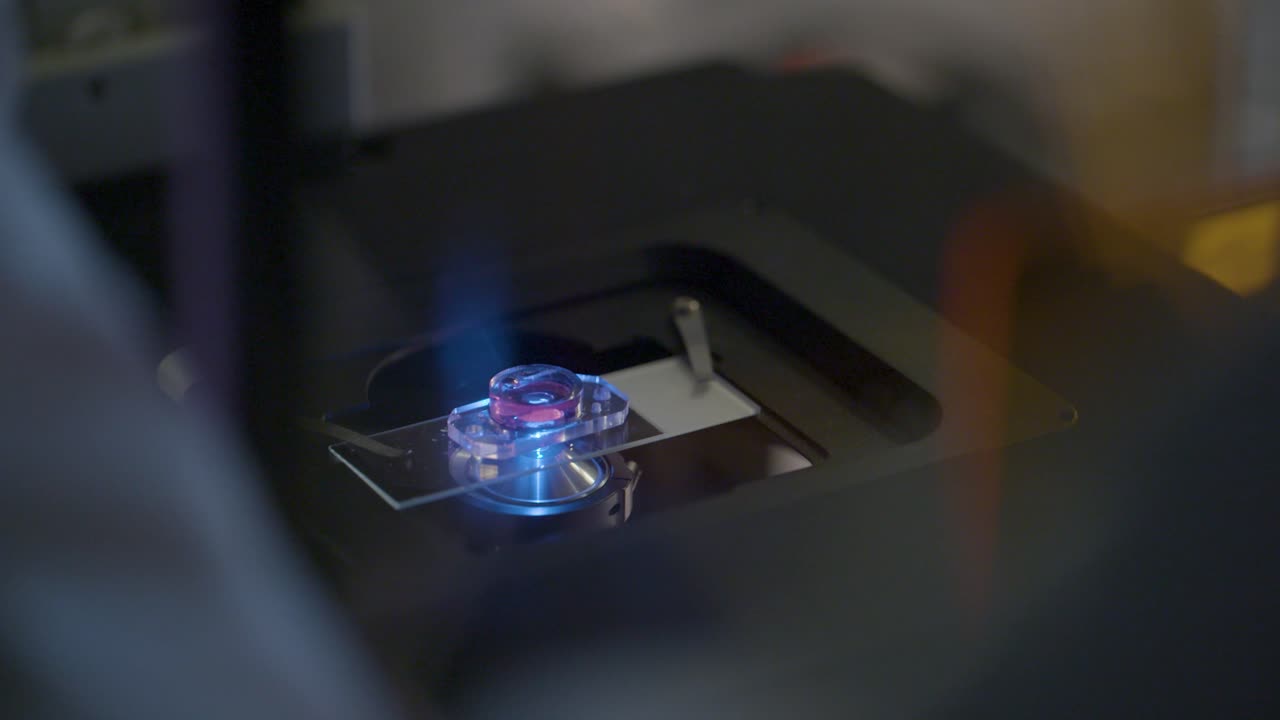 Soft-focus macro shot of a pipette applying liquid to a petri dish under blue illumination in a modern biomedical laboratory