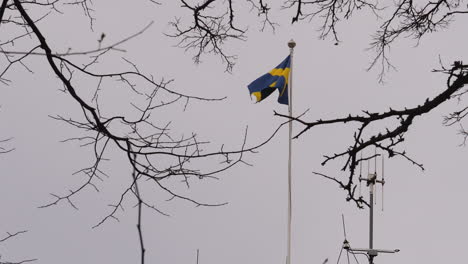 slow motion clip of a waving swedish flag