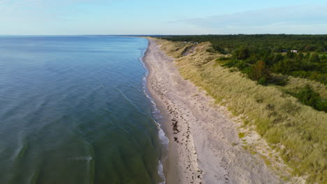 wide aerial panoramic of sandy skagen beach in denmark with grassy dunes