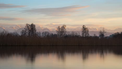 Scenic-smooth-water-with-ducks-swimming-below-reeds-and-snowcapped-mountains-and-yellow-clouds-above-Lake-Pfaffikersee-in-Wetzikon-Switzerland