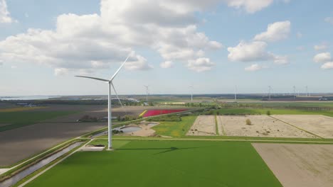 Turbina-Eólica-Y-Campo-De-Tulipanes-En-El-Fondo-Movimiento-Hacia-Adelante