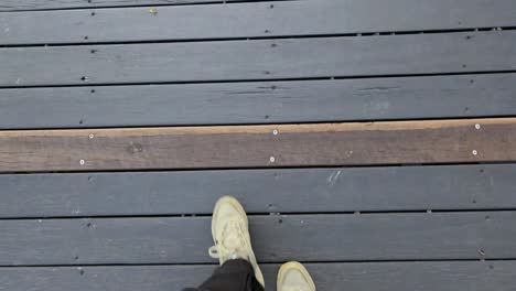 person walking on a wooden boardwalk