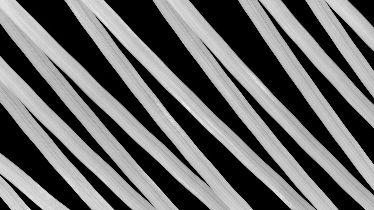 Abstract Motion of White Diagonal Lines on Black Background