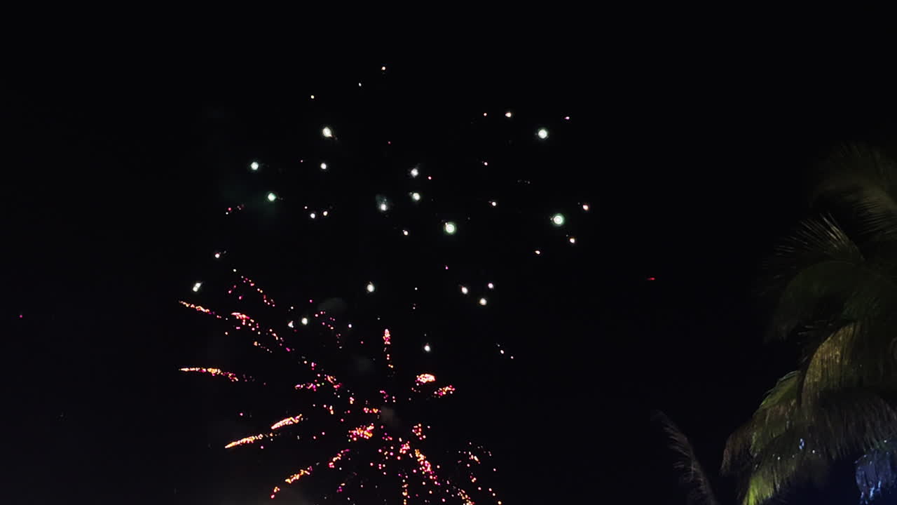 Fuochi d'artificio illuminano il cielo notturno sopra la spiaggia di Candolim, catturando la gioia