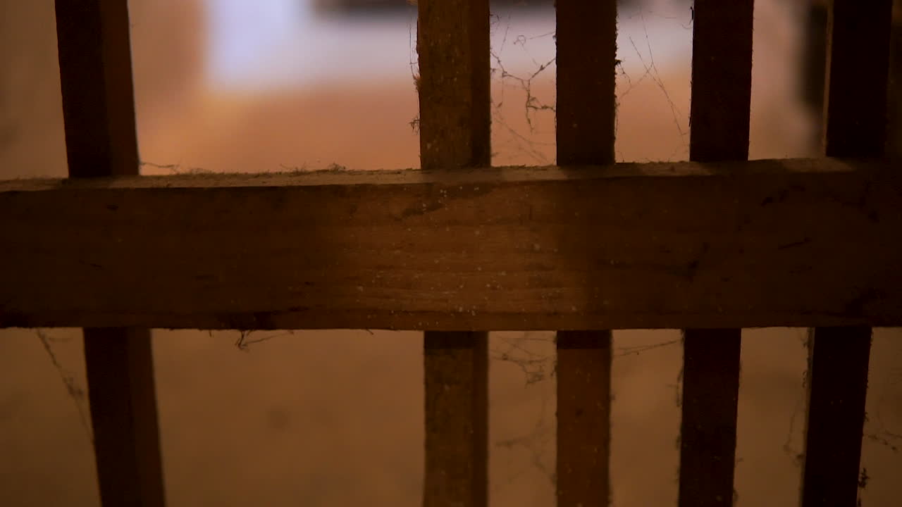 Porta a cancello in legno impolverata in una cantina di casa