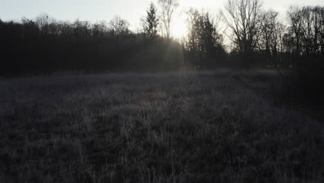 early-morning-winter-landscape,-tracking-shot-over-frost-covered-bushes-into-the-dark,-ray-beams-and-backlight,-very-romantic