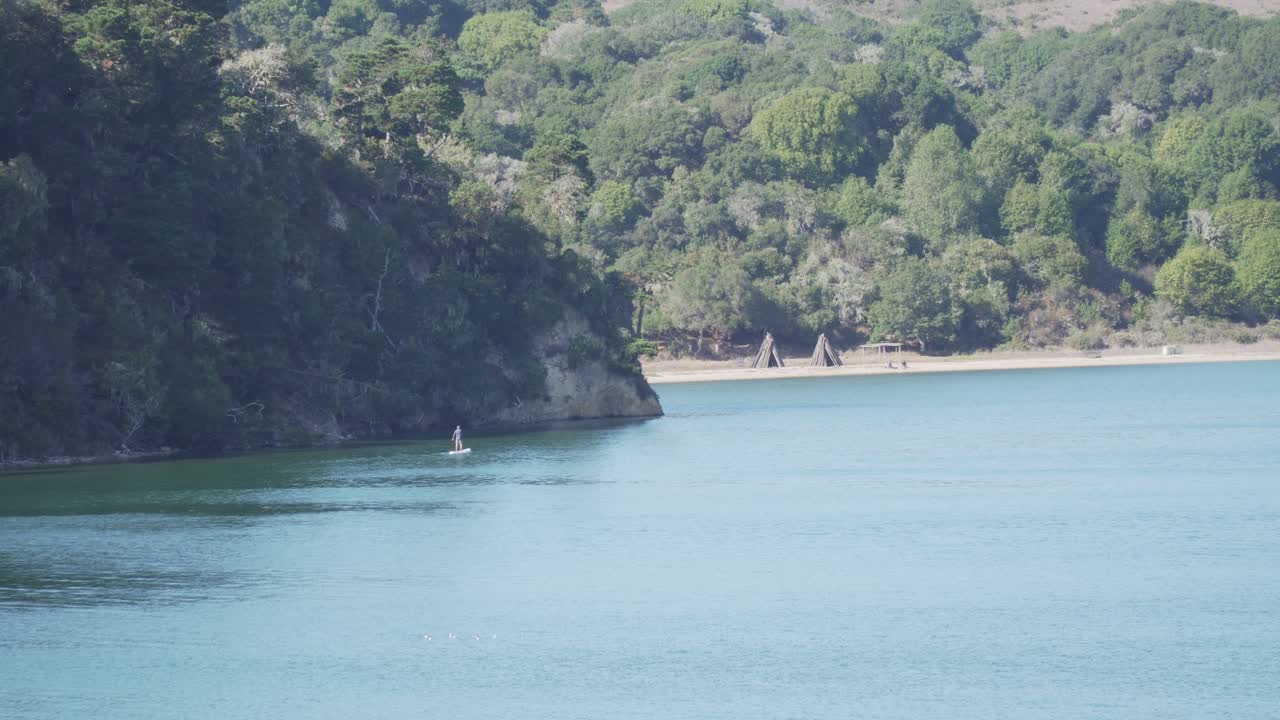 Young Man Paddleboarding on the Water on a Calm Day