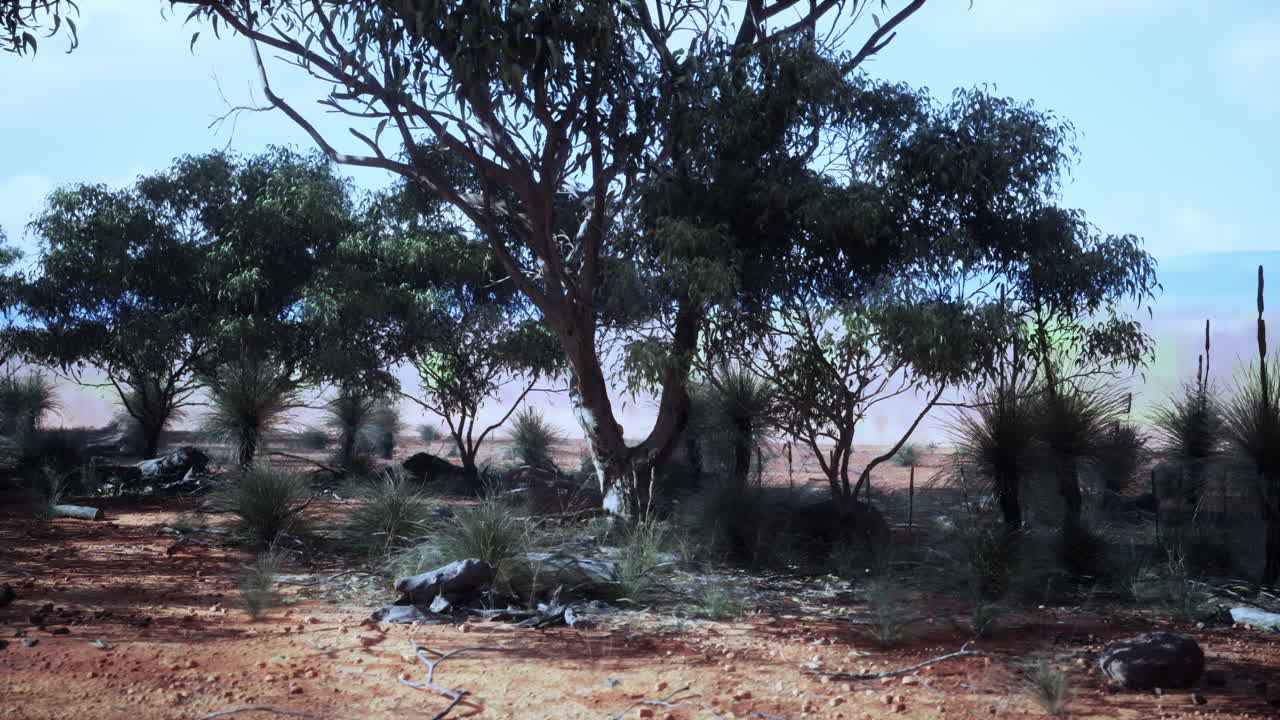 paisaje del interior de australia