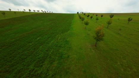 árboles-Frutales-De-Otoño-En-Moravia-Del-Sur