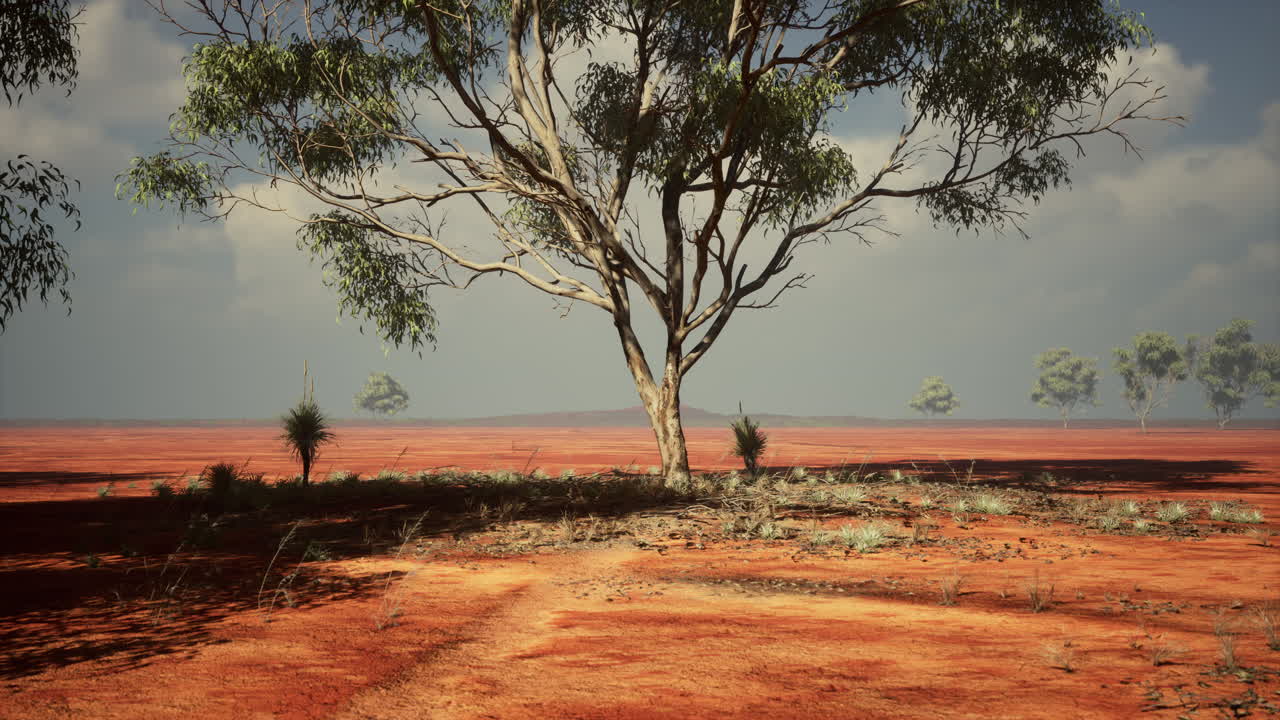 árboles del desierto en las llanuras de áfrica bajo un cielo despejado y un suelo seco