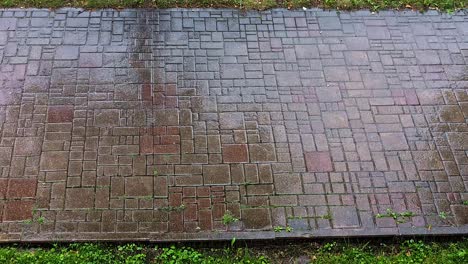 rain on a cobblestone path with green grass, peaceful and reflective moment