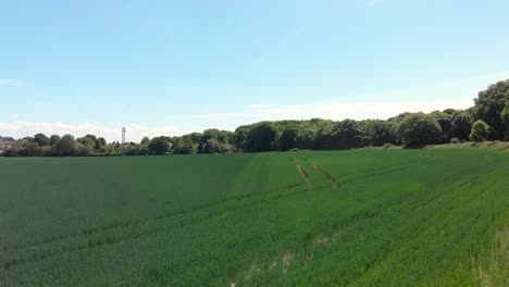 Vibrant-green-field-near-Wombwell-Woods-under-blue-sky,-England,-pedestal-aerial